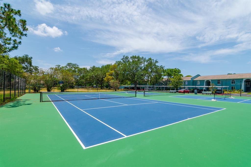 Tennis and pickleball courts