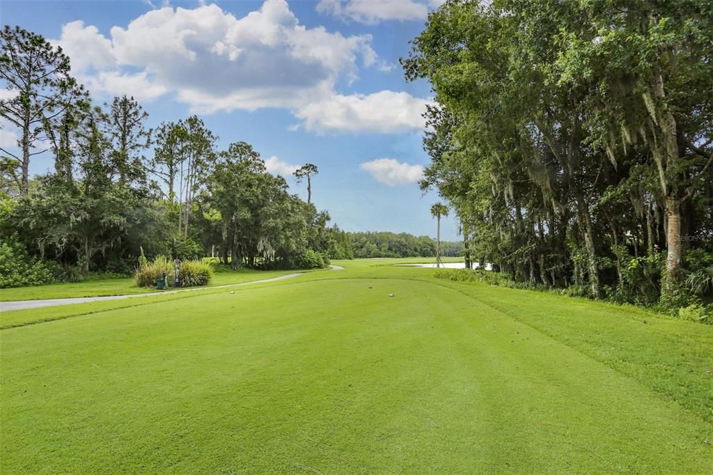 Westchase Golf Course