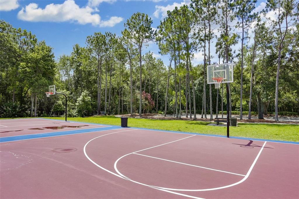 Parks with play equipment and basketball courts