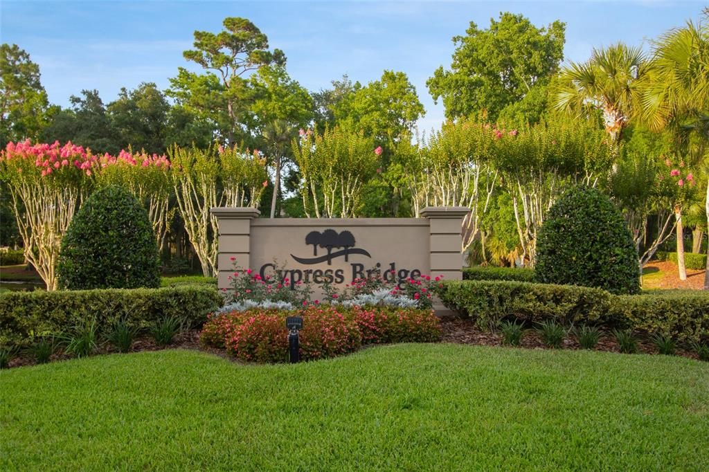 Cypress Ridge Neighborhood