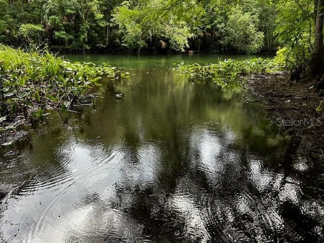 Oklawaha River