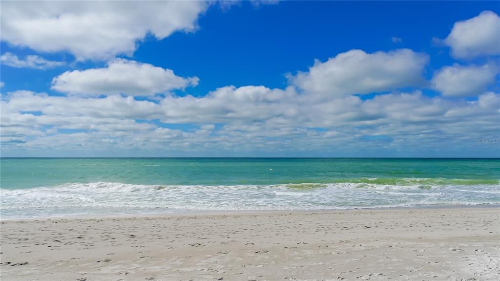 Gulf of Mexico Beach