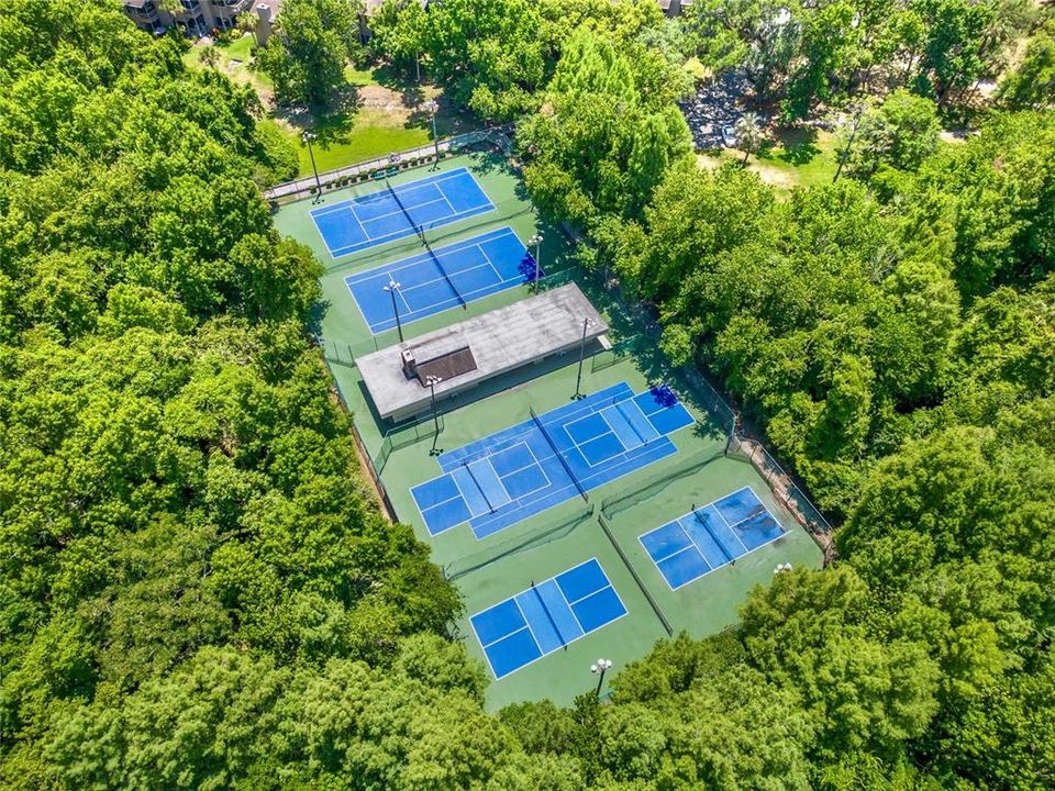 Community Tennis/Pickle Ball Courts