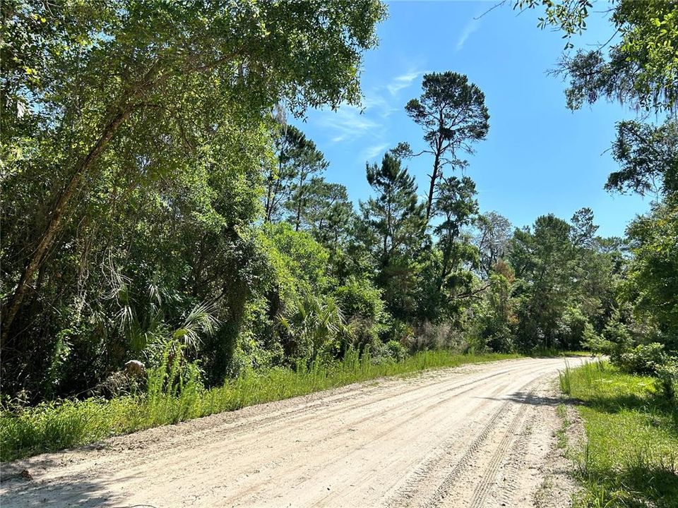 For Sale: $38,000 (1.17 acres)