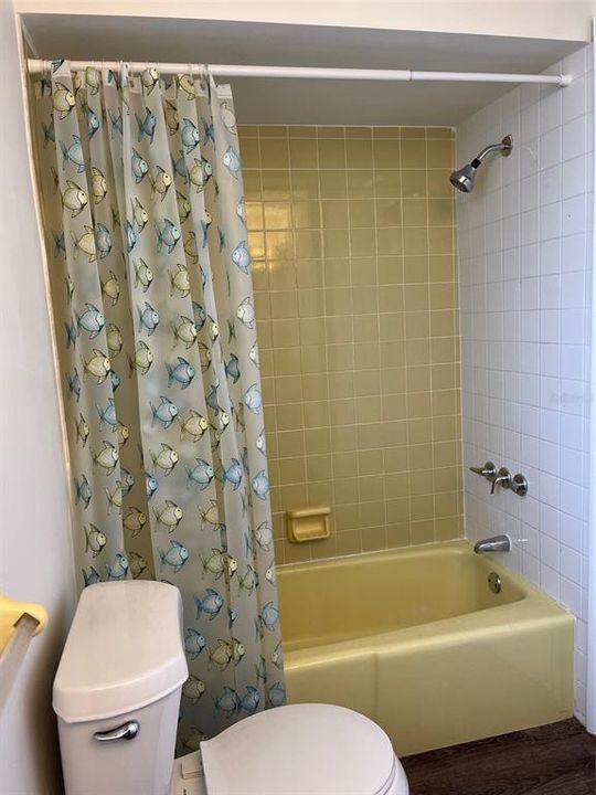 Hall Bath with tub/shower