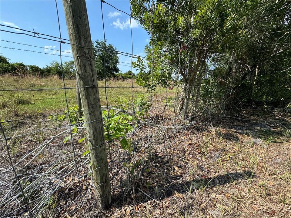 entire 10 acres fenced