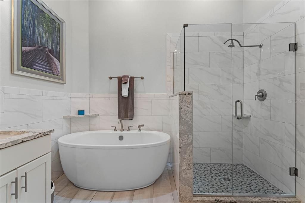 Renovated primary master suite bath