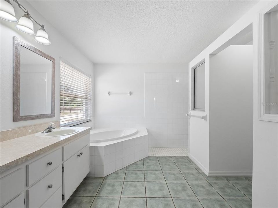 Primary Bath with Walk-in Shower