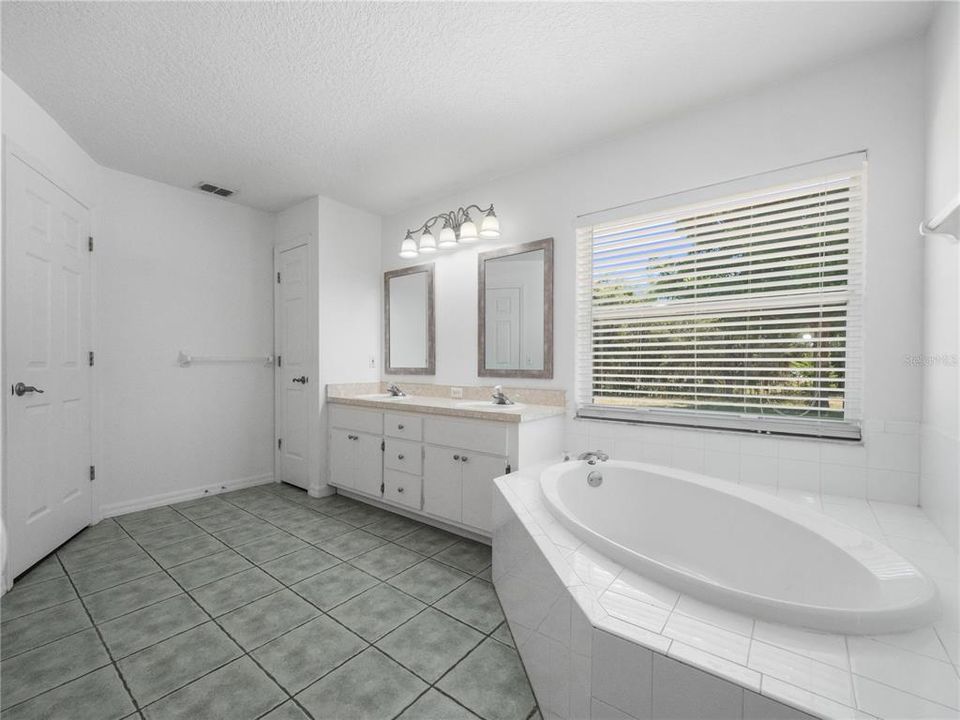 Primary Bath with Garden Tub and Dual Sink