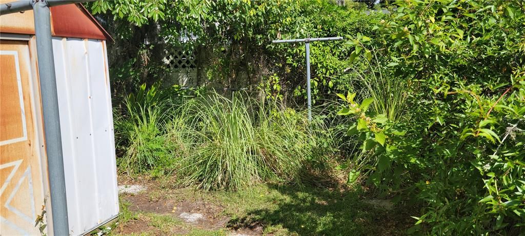 side yard with metal shed