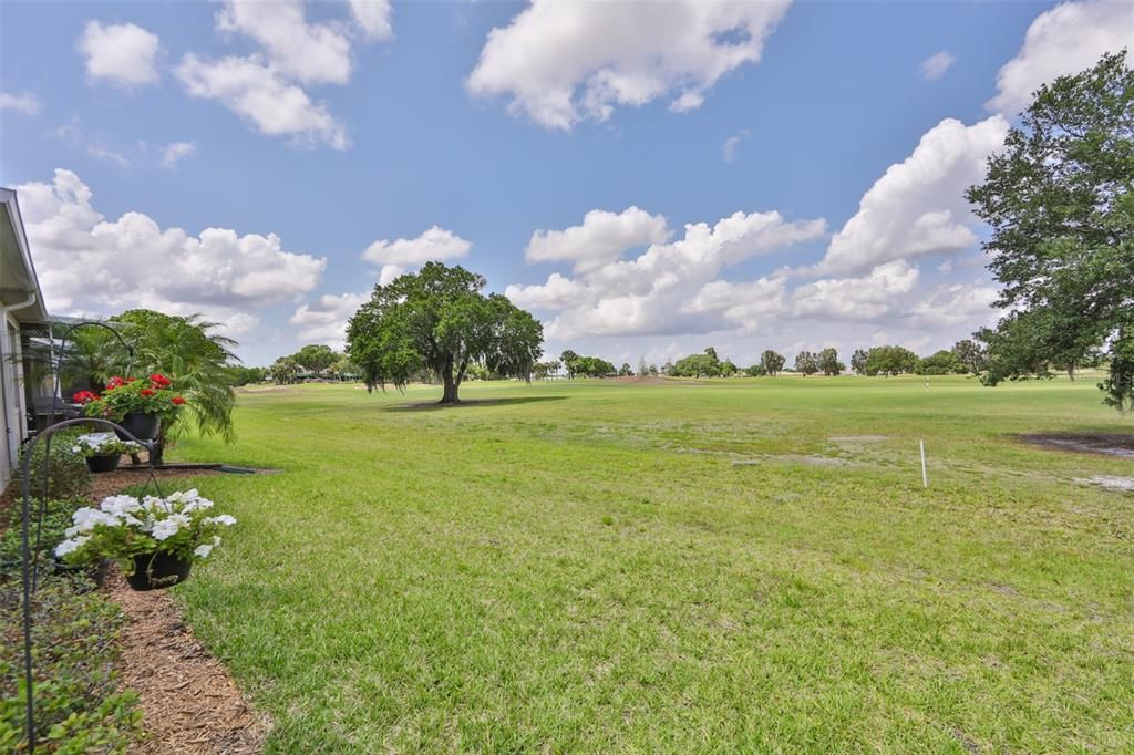 Backyard View.