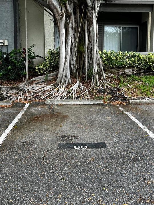 Assigned Parking