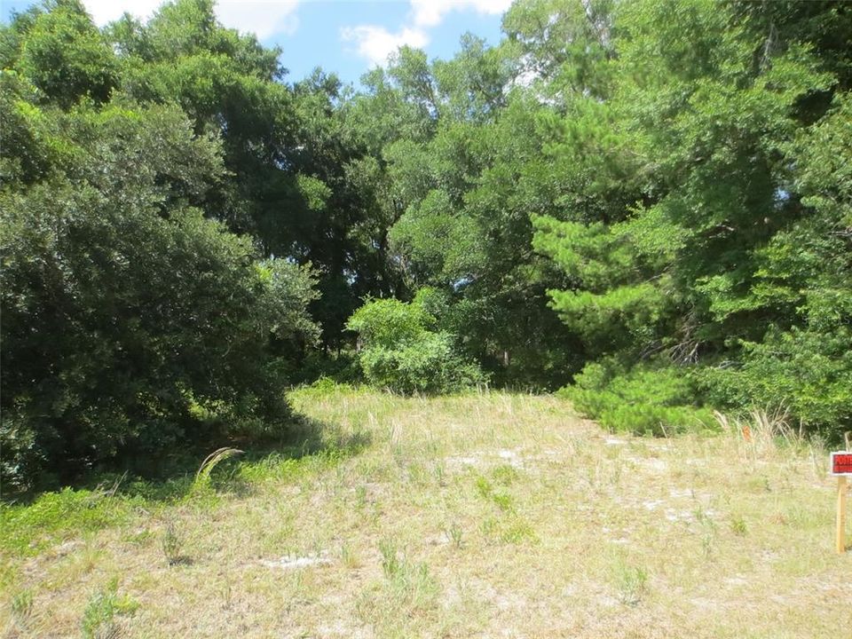 Active With Contract: $57,900 (1.07 acres)