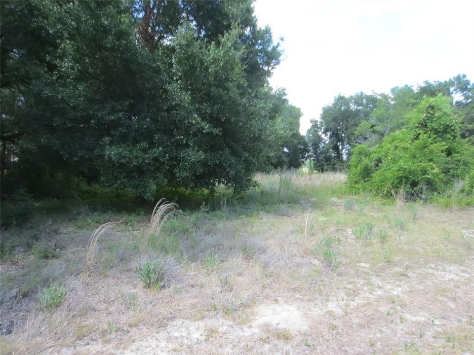 Active With Contract: $57,900 (1.07 acres)