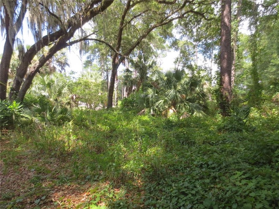 Active With Contract: $57,900 (1.07 acres)