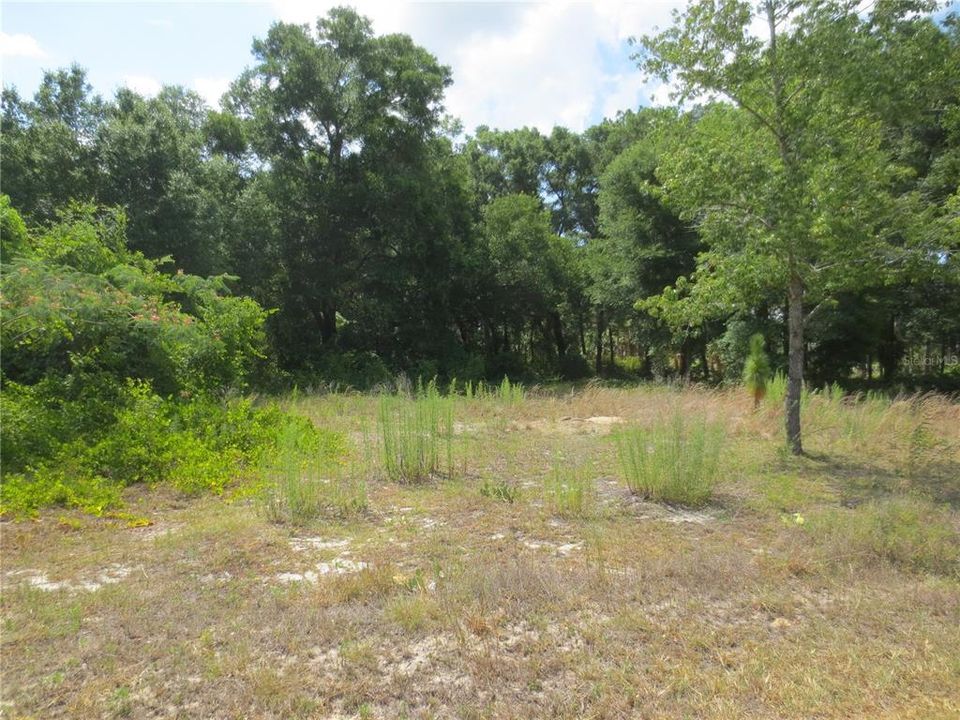 Active With Contract: $57,900 (1.07 acres)