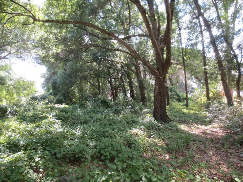 合同活跃: $57,900 (1.07 acres)