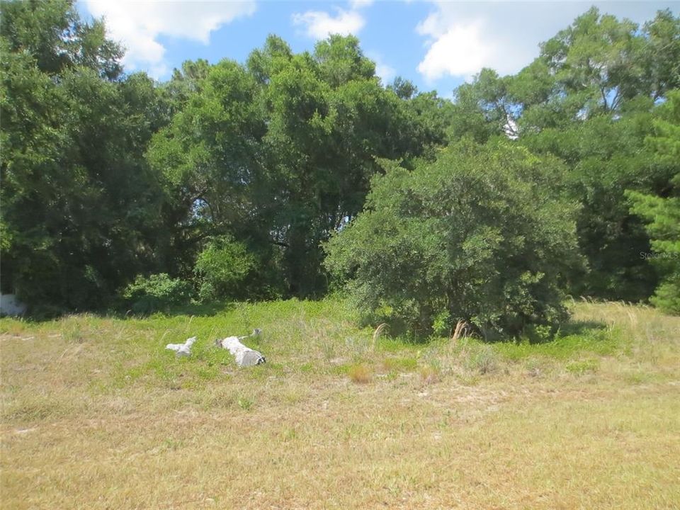 Active With Contract: $57,900 (1.07 acres)