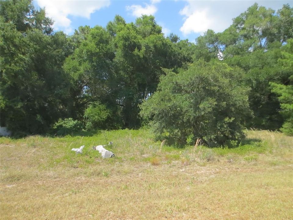 Activo con contrato: $57,900 (1.07 acres)