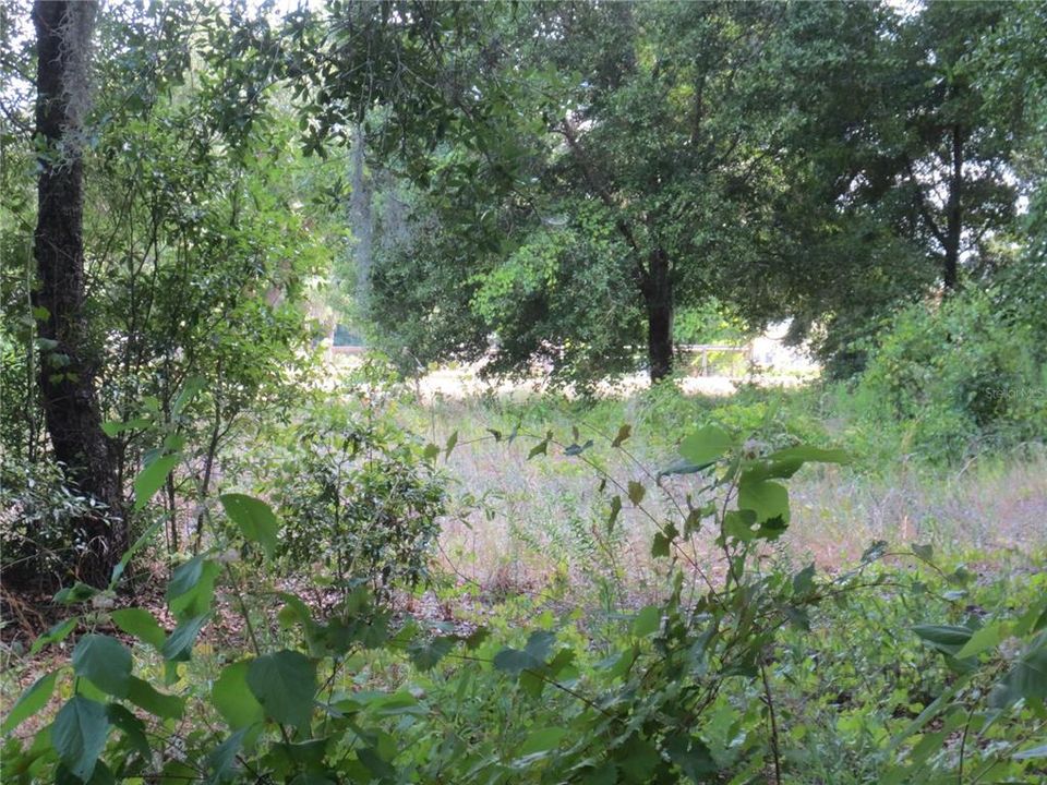 Active With Contract: $57,900 (1.07 acres)