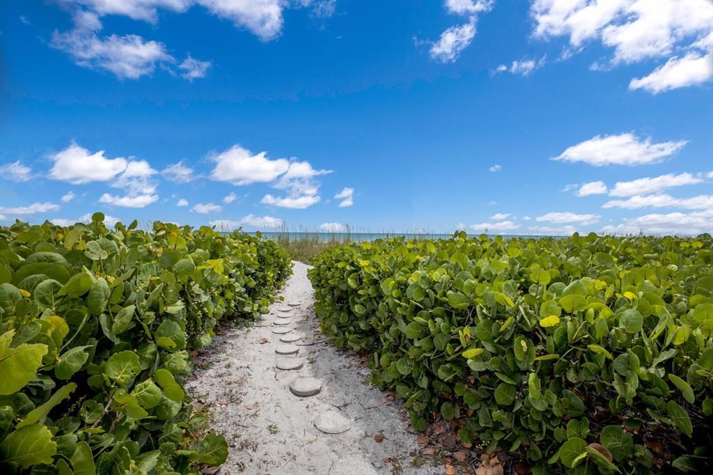 Beach Path