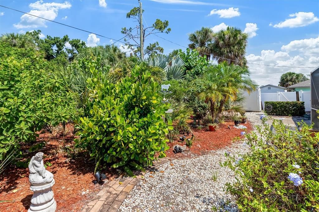 Beautiful landscaped back yard