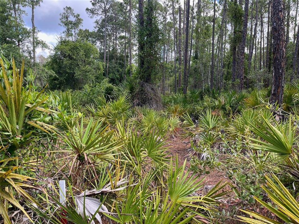 На продажу: $10,000 (1.02 acres)