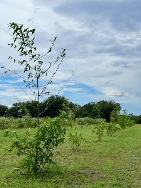 En Venta: $449,000 (10.00 acres)