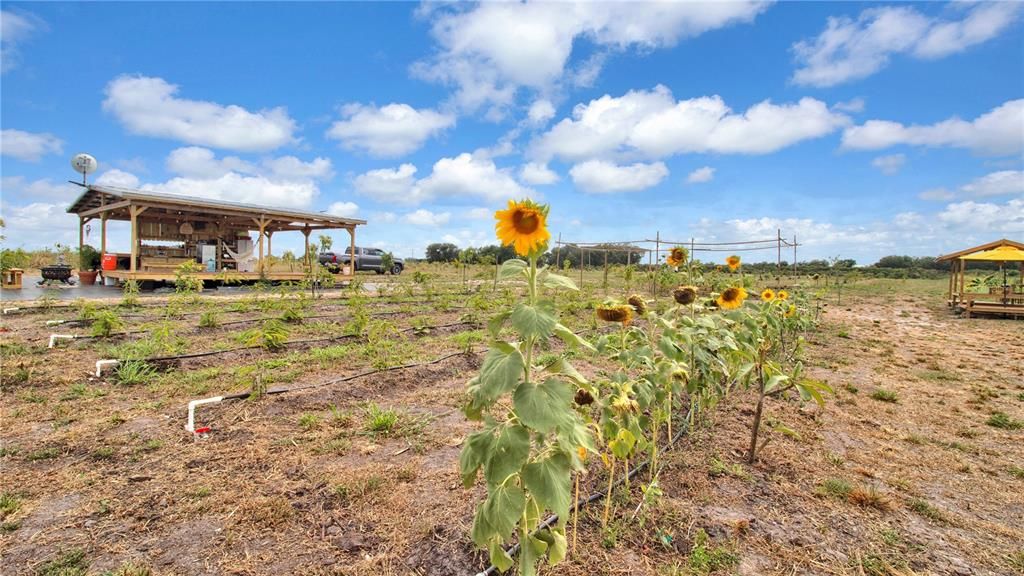 En Venta: $449,000 (10.00 acres)