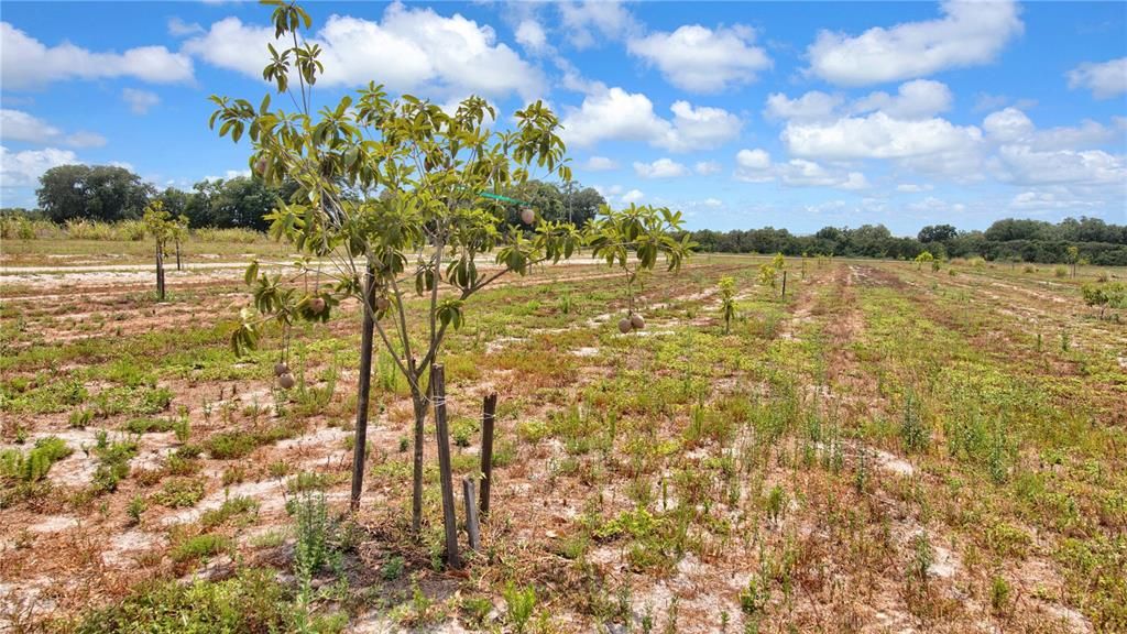 На продажу: $449,000 (10.00 acres)