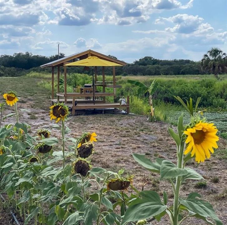 На продажу: $449,000 (10.00 acres)