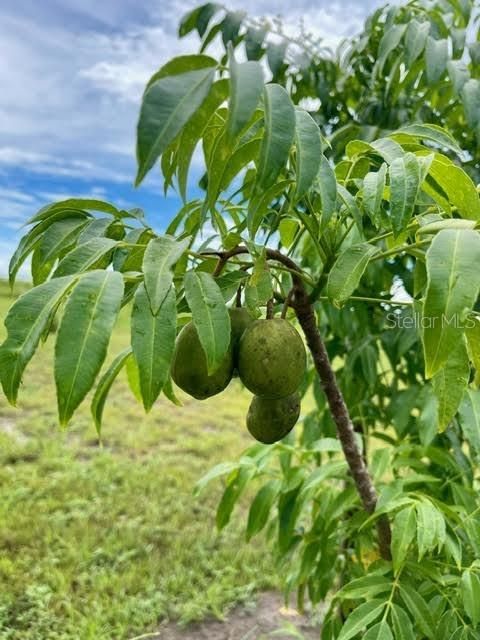 На продажу: $449,000 (10.00 acres)