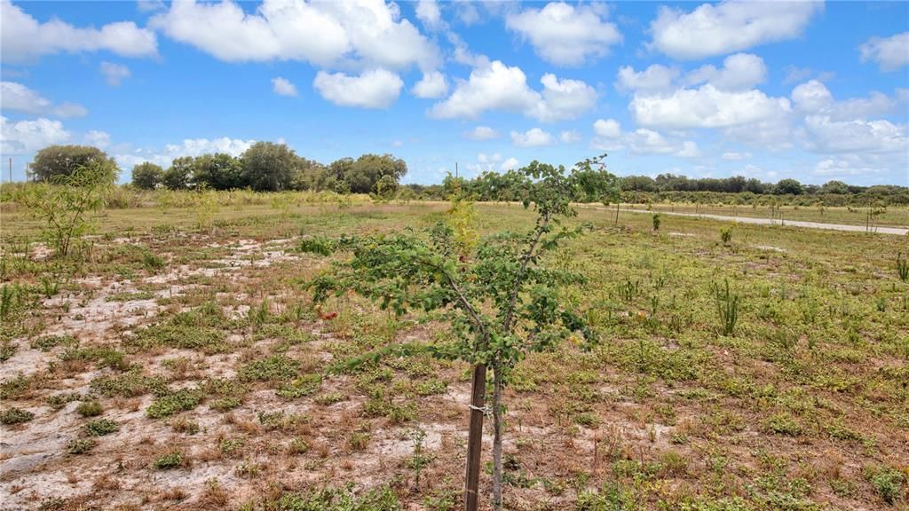 For Sale: $449,000 (10.00 acres)