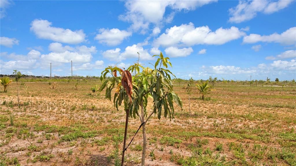 На продажу: $449,000 (10.00 acres)