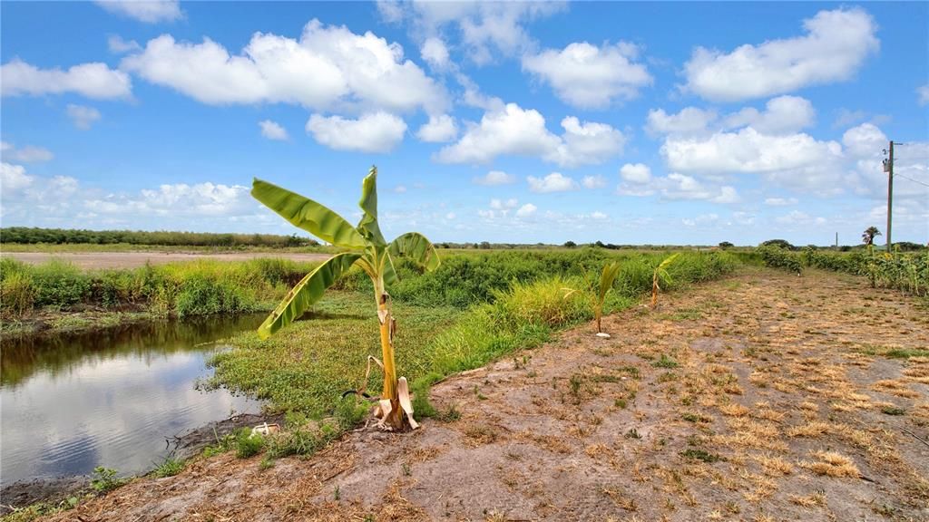 На продажу: $449,000 (10.00 acres)