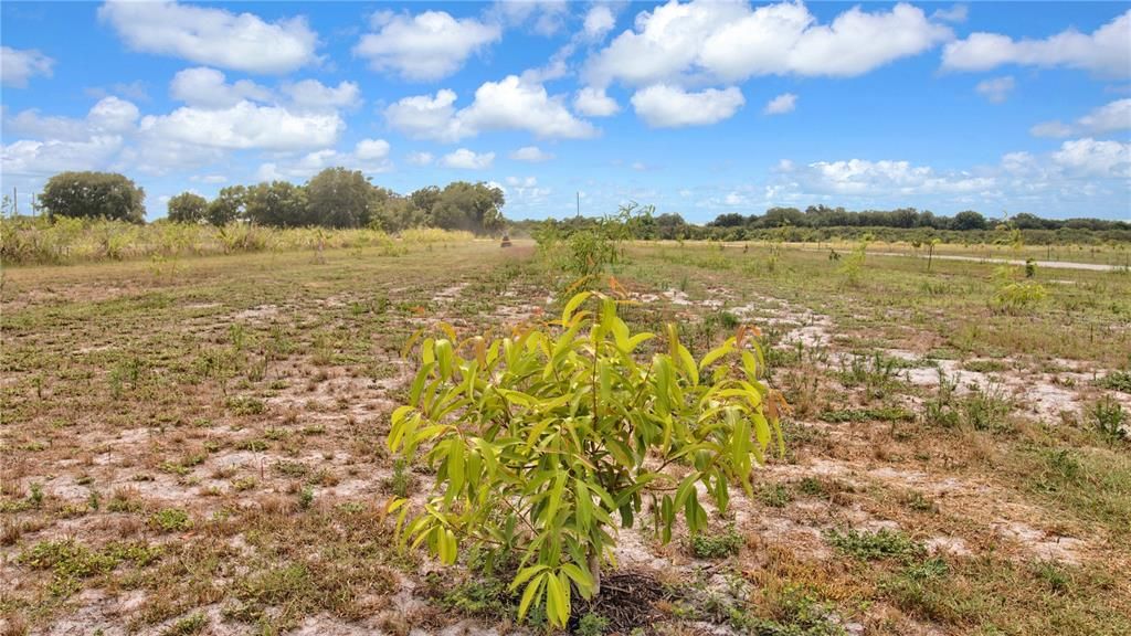 For Sale: $449,000 (10.00 acres)