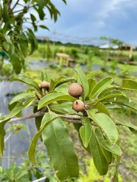 На продажу: $449,000 (10.00 acres)