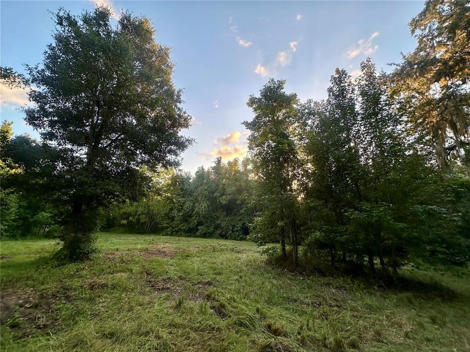 For Sale: $450,000 (8.90 acres)