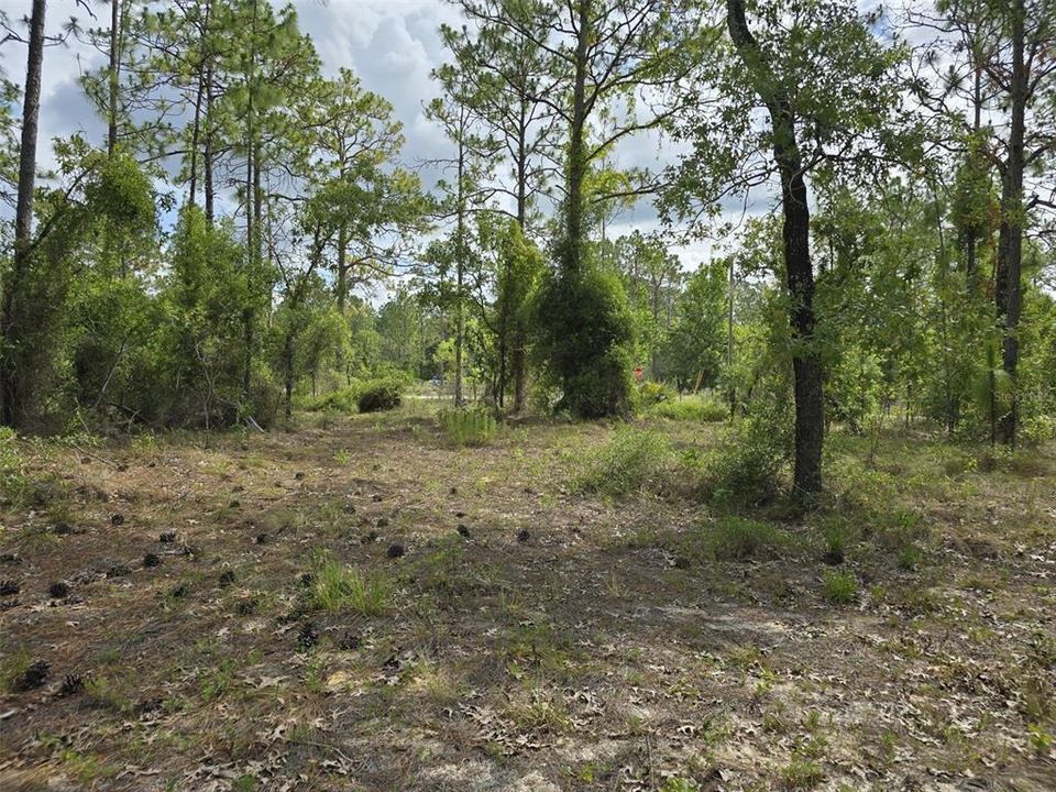 For Sale: $27,800 (1.25 acres)