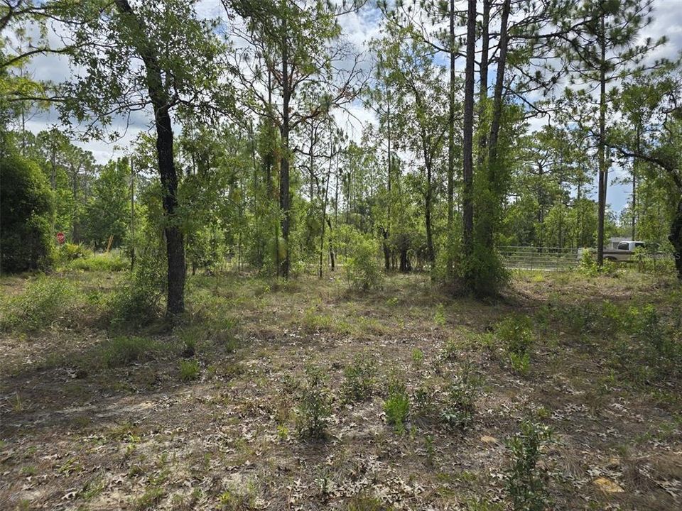 For Sale: $27,800 (1.25 acres)