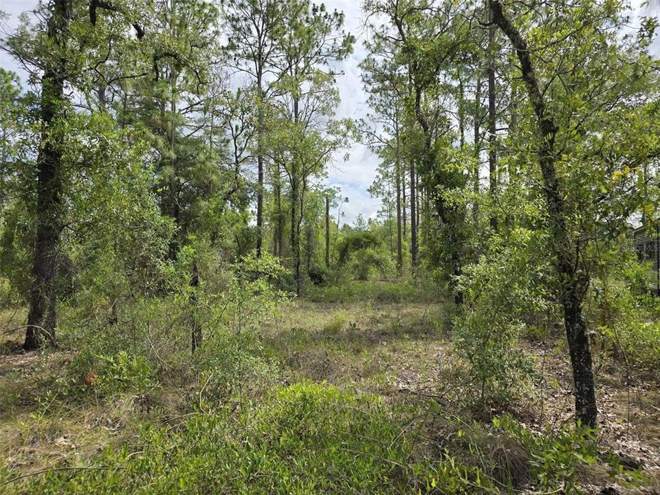 For Sale: $27,800 (1.25 acres)