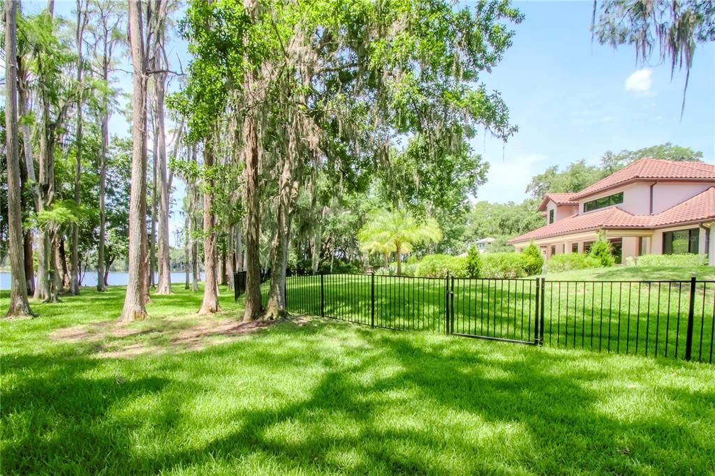 New black aluminum fencing in back yard