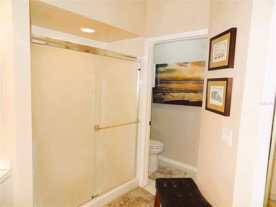 Walk-in shower and water closet