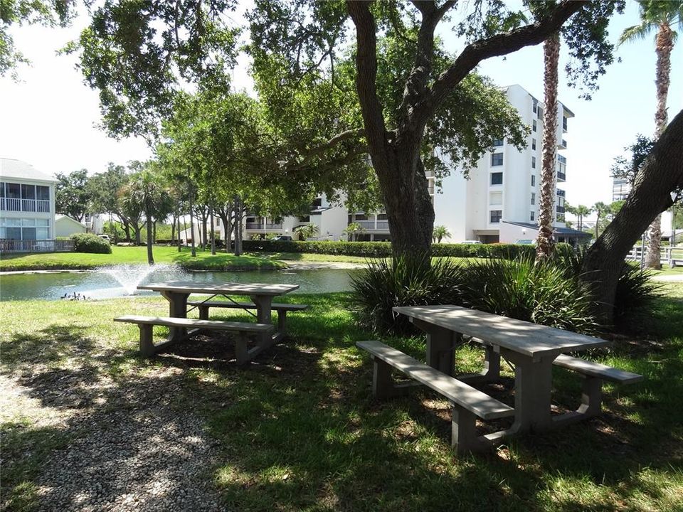 Grilling picnic area