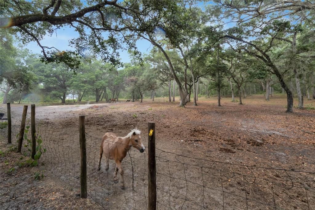 En Venta: $695,000 (2 camas, 2 baños, 1816 Pies cuadrados)