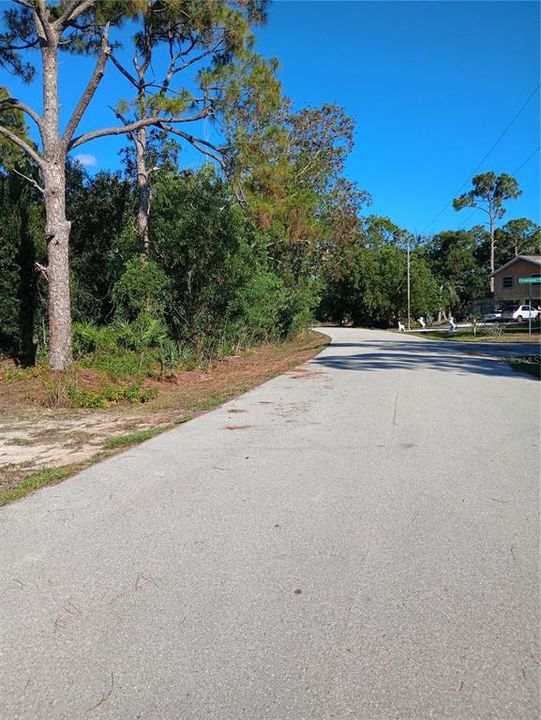 Street view facing south