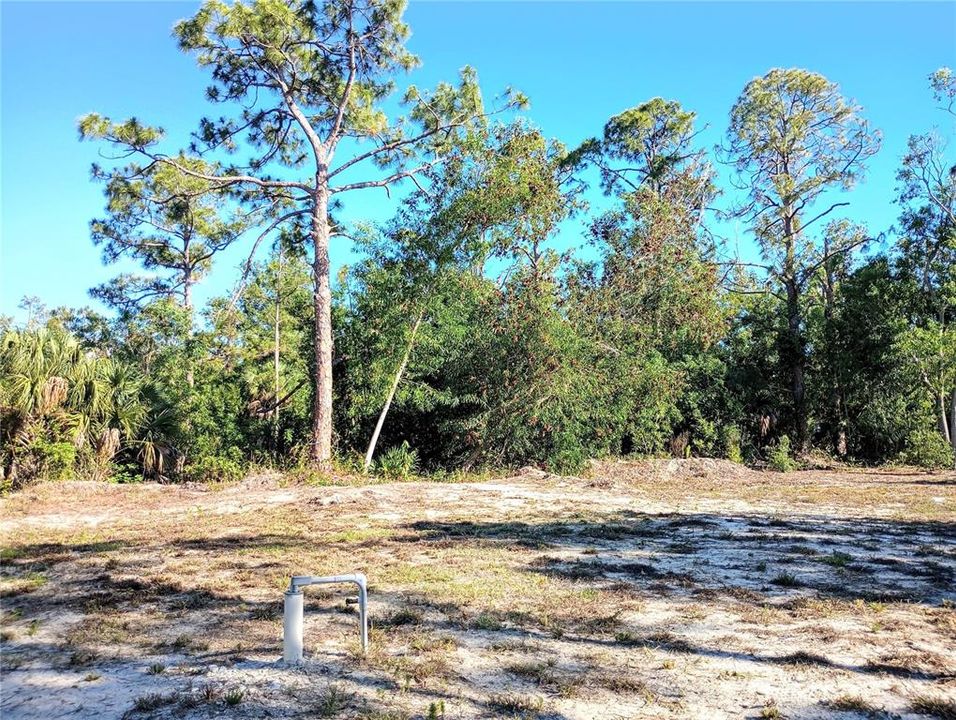 Doc Box at front of property