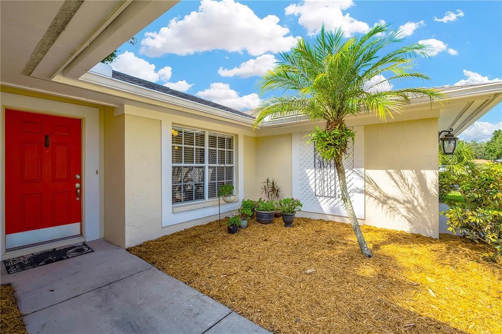 A "blank slate" entry area, waiting for your imagination to take place with pavers?  a water feature?  Or beautiful green grass and plants.