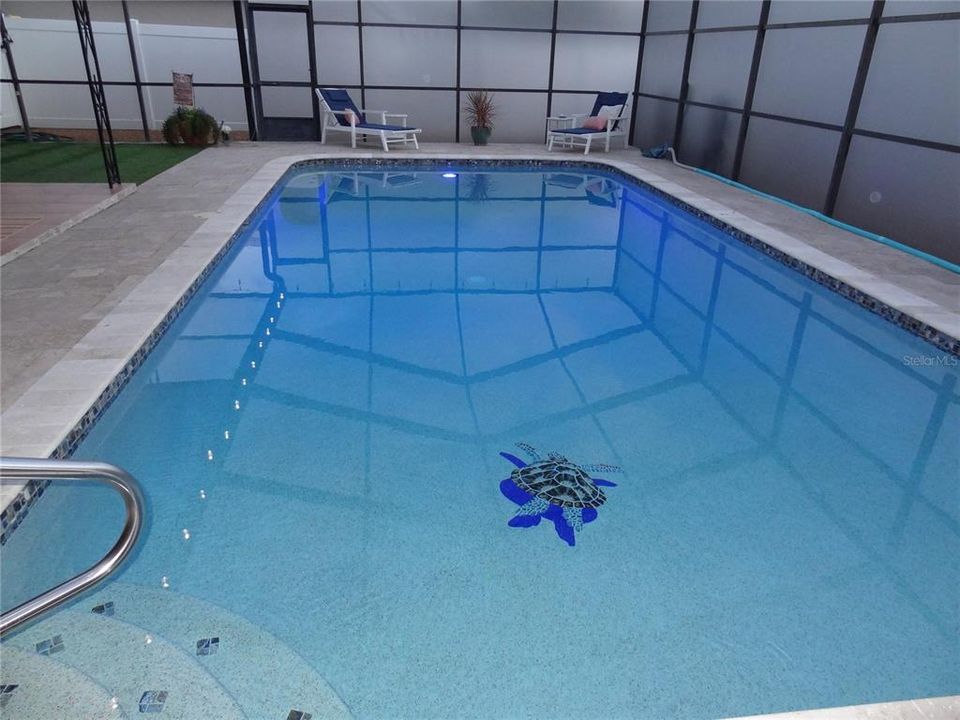 Newly finished Pool, swim with the 3D turtle Mural