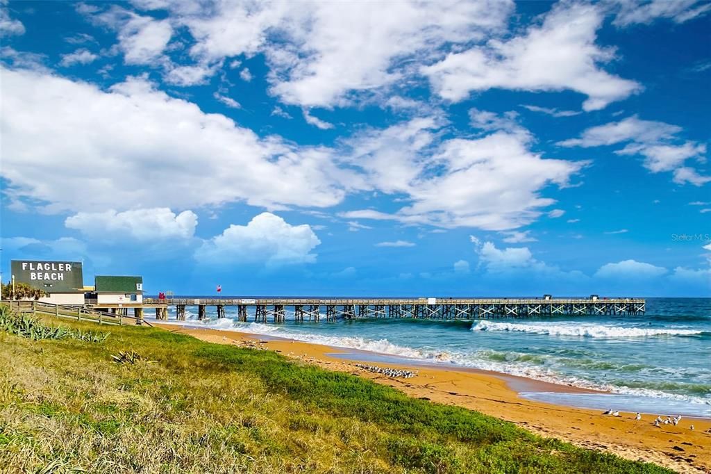 Flagler Beach 12 min